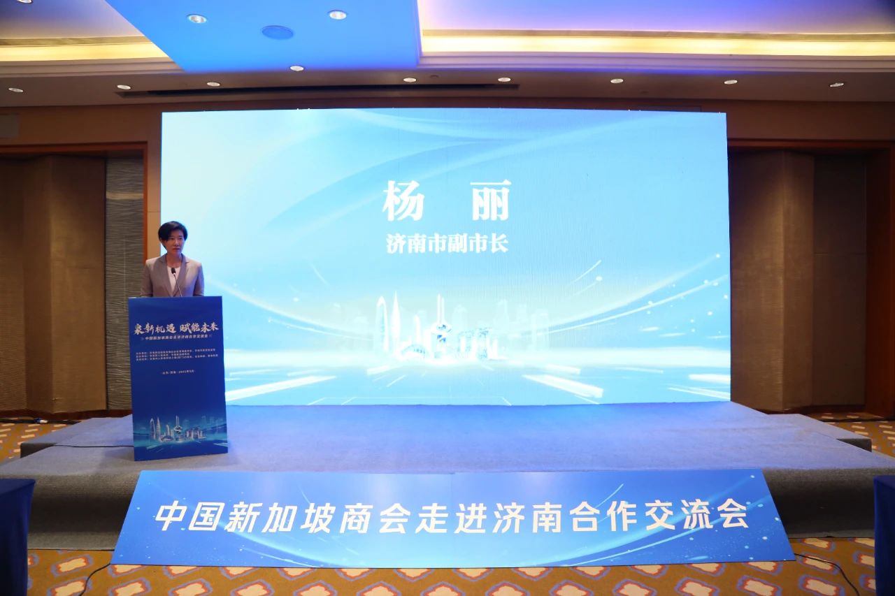 image-20250620171721-1